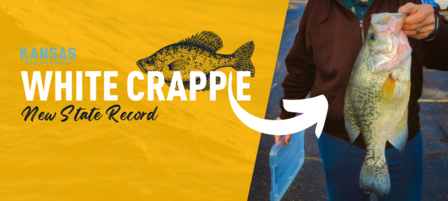 Topeka Angler Sets New Kansas Record for Crappie Topeka Angler Sets New Kansas Record for Crappie