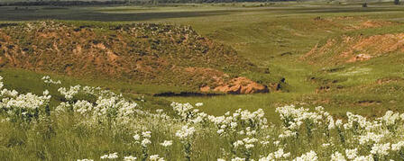ALEXANDER RANCH GARNERS WILDLIFE HABITAT CONSERVATION AWARD ALEXANDER RANCH GARNERS WILDLIFE HABITAT CONSERVATION AWARD