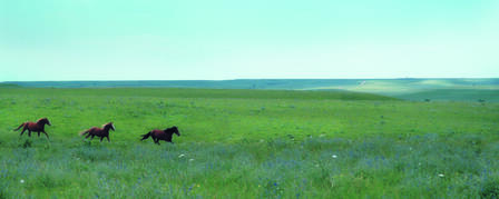 PUBLIC INVITED TO 2011 GOVERNOR’S ECONOMIC SUMMIT ON FLINT HILLS VISIONING