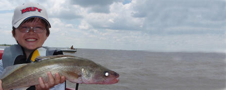 LATE MAY, EARLY JUNE PULL WALLEYE INTO SHALLOWS