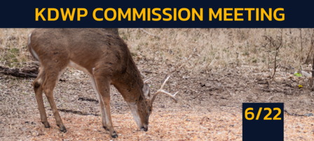 Kansas Wildlife and Parks Commission to Vote on Potential Turkey Permit Application, Baiting Wildlife Kansas Wildlife and Parks Commission to Vote on Potential Turkey Permit Application, Baiting Wildlife