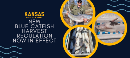 Wildlife and Parks Commissioners Approve New Blue Catfish Harvest Regulation Wildlife and Parks Commissioners Approve New Blue Catfish Harvest Regulation