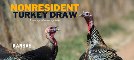 Kansas Wildlife and Parks Commission Approves Lottery Draw for Non-resident Turkey Permits Kansas Wildlife and Parks Commission Approves Lottery Draw for Non-resident Turkey Permits