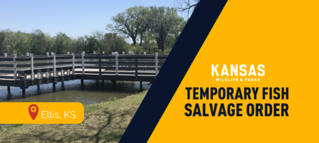 Public Temporarily Allowed to Salvage Fish at Ellis City Lake Due to Drought