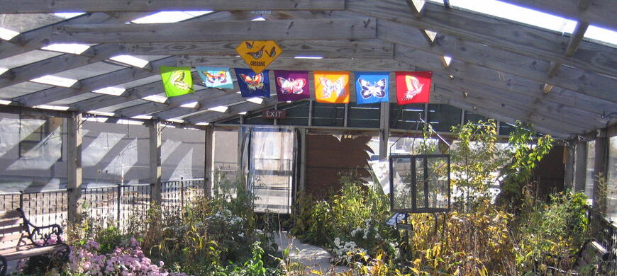 Butterfly House Inside