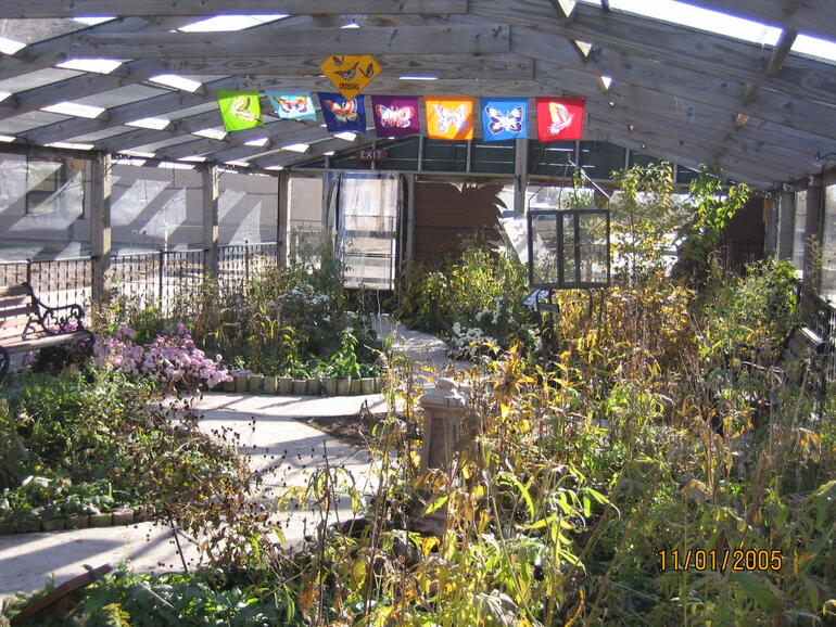 Butterfly House Inside