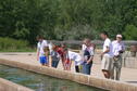 Hatchery Tour