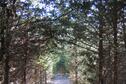 Nature trail