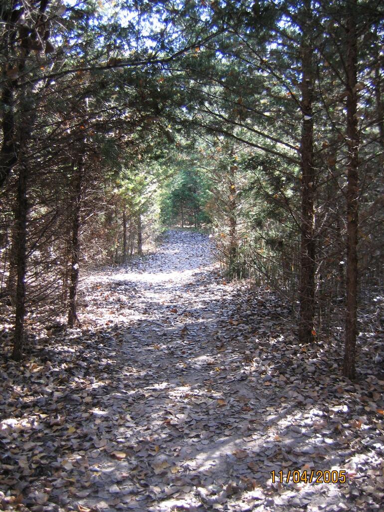Nature trail