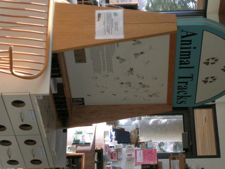 Tracks Display