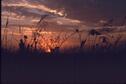 Sunset1