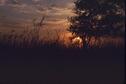 Sunset2