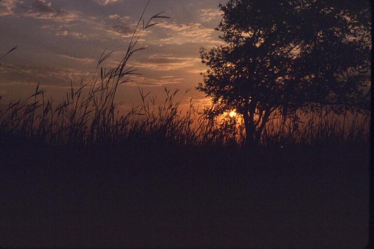 Sunset2