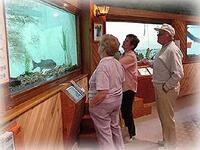 Fish Tank at Pratt Education Center