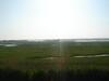 Marsh land