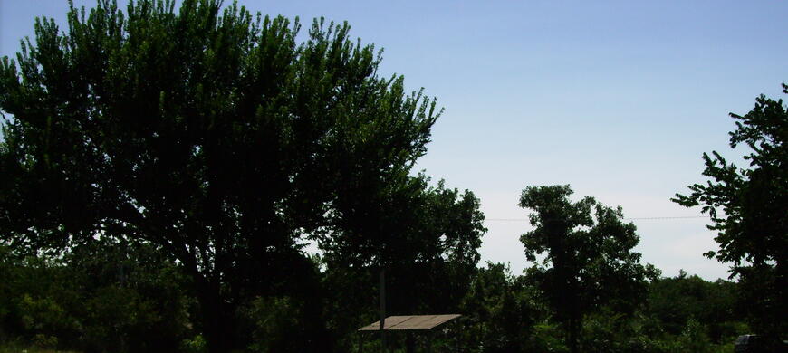Geary camp area