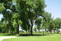 Camping Area