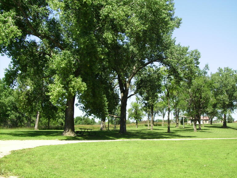Camping Area
