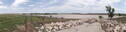 Finney Panorama