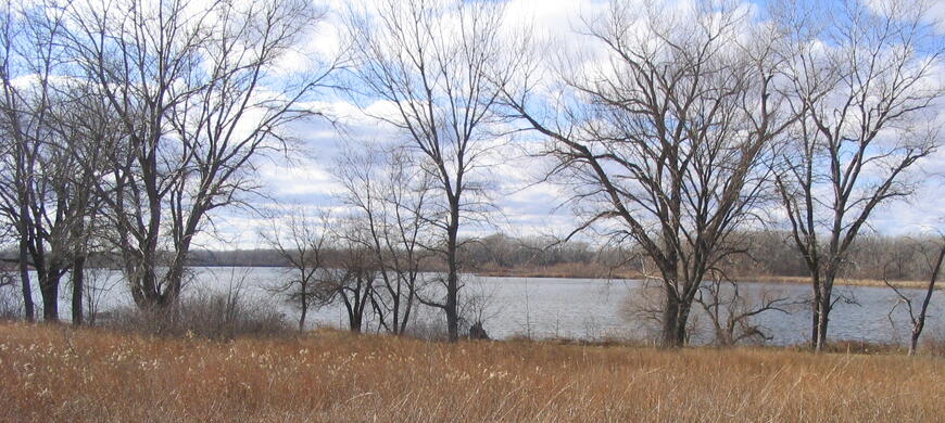Site2A