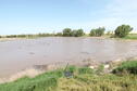 Marsh