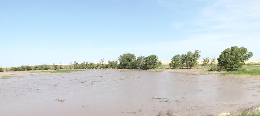 Marsh