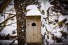 Birdhouse