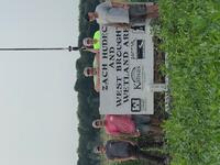 wetland stone signs reset