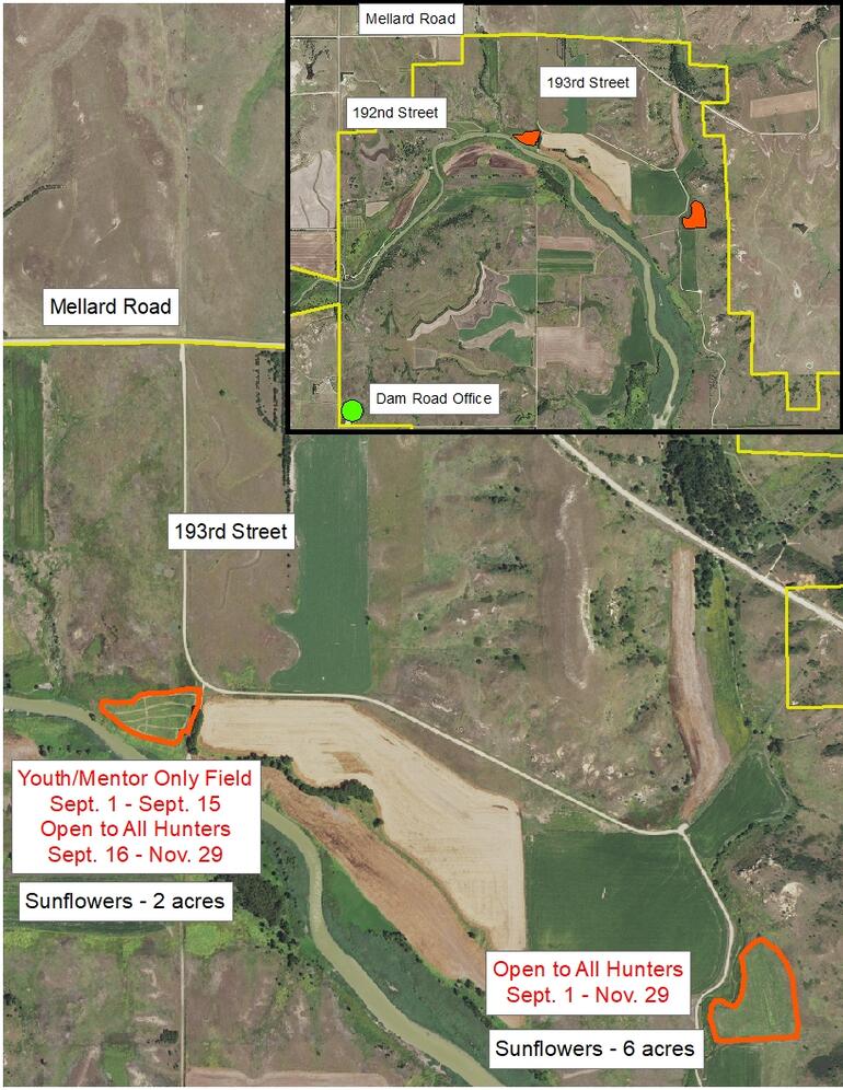 2020 Dove Field 1