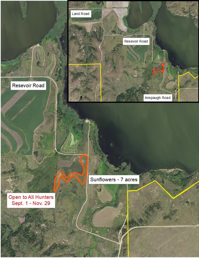 2020 Dove Field 2