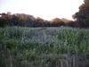 foodplot