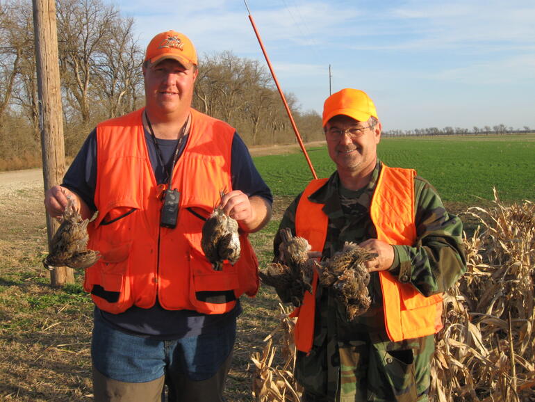 Found some quail