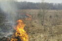 spring burning