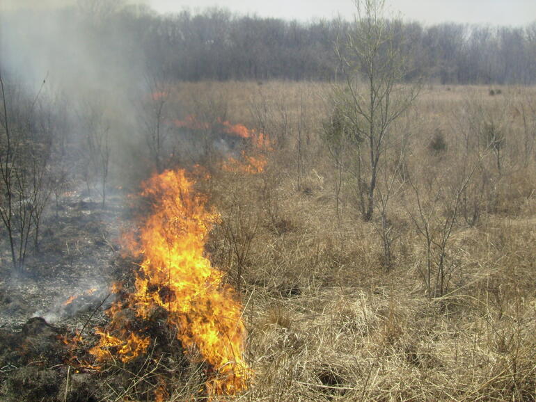 spring burning