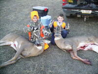 Success on the Mentor-Novice Area