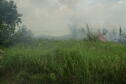 summertime burn for brush control