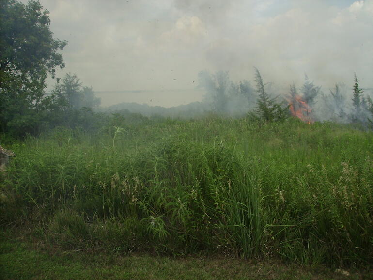 summertime burn for brush control