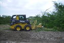 tree shearing machine