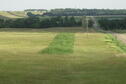weedstrip in brome grass