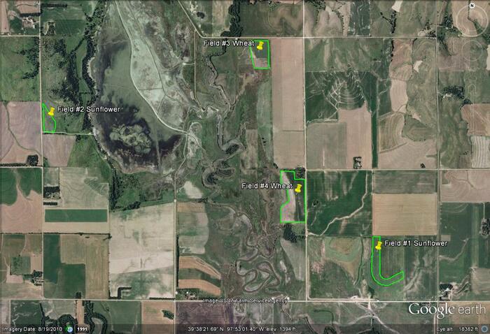 2012 Jamestown Google Image