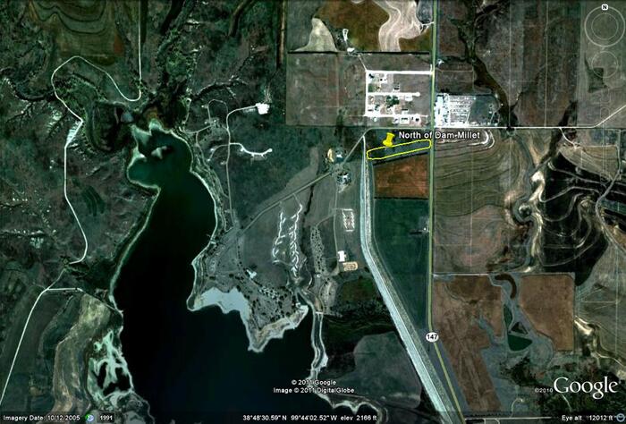CDBR North of Dam Dove management field