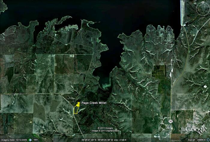 CDBR Page Creek Dove management field