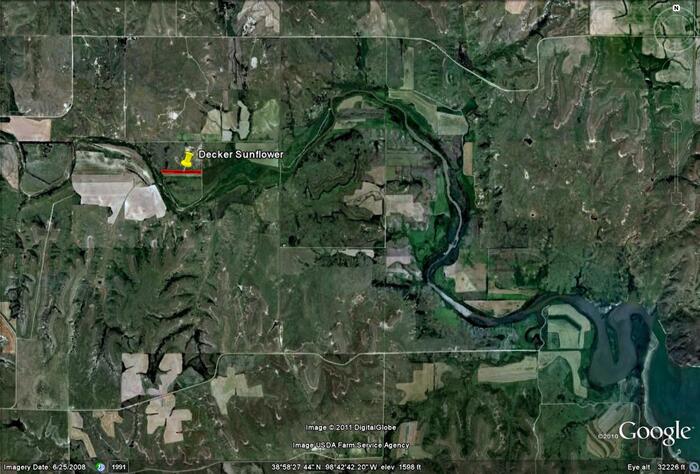 WILR Decker RD. Sunflower Field