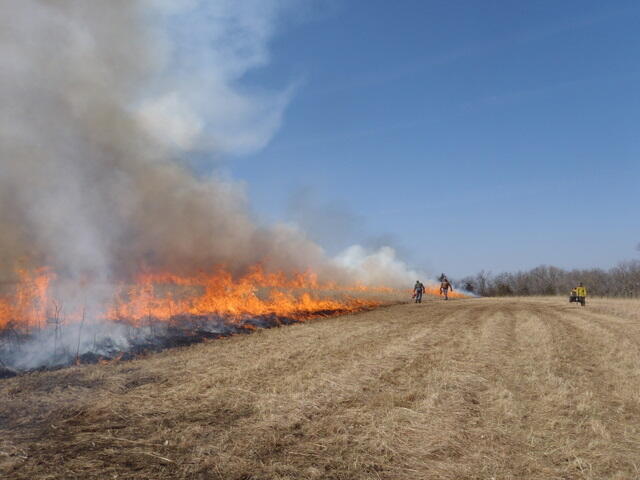 Finishing up the 2011 spring burn