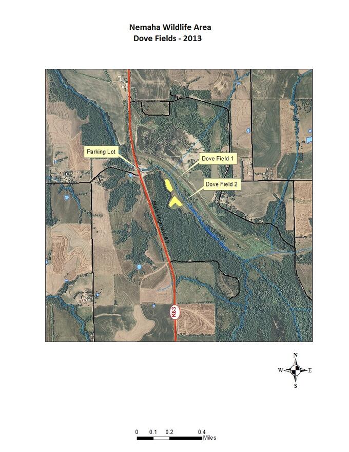 Dove Fields 2013