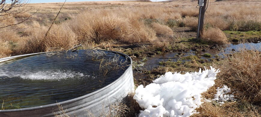 Water Tank