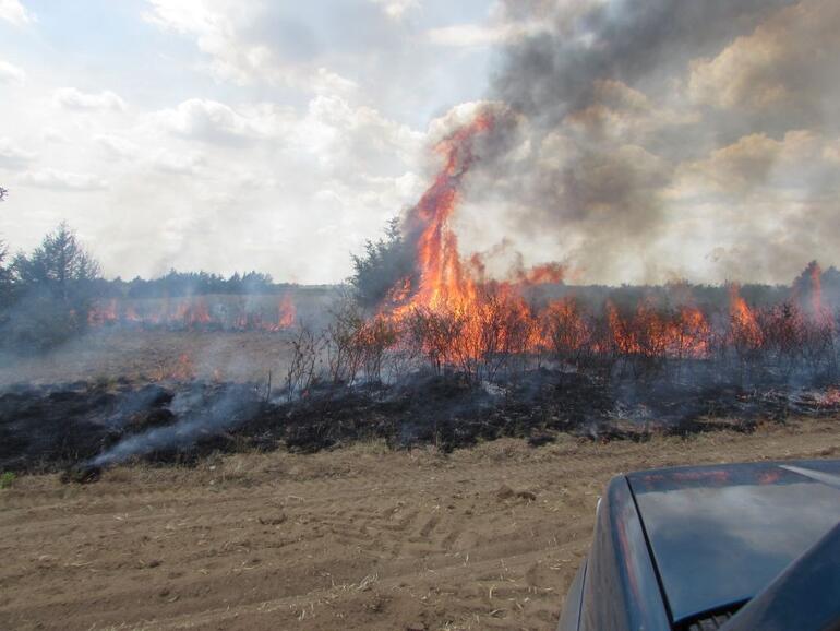 Burning - Grazing system 1