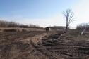 Byron Walker Habitat Project