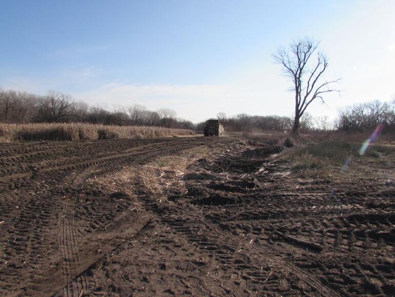 Byron Walker Habitat Project