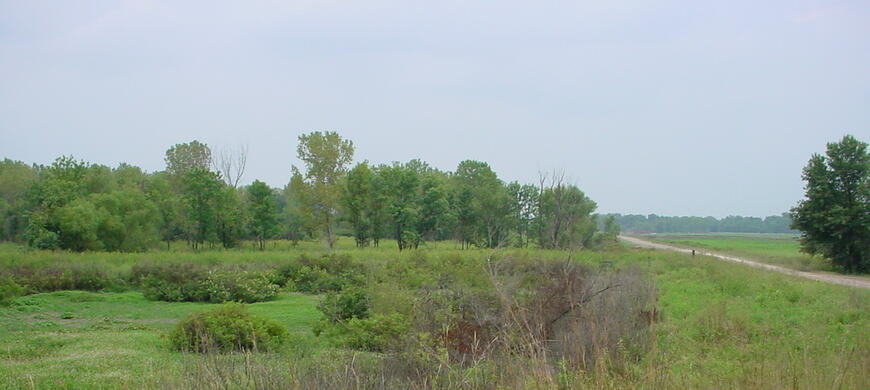 Old Water Diversion Pool